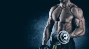 wellhealth how to build muscle tag